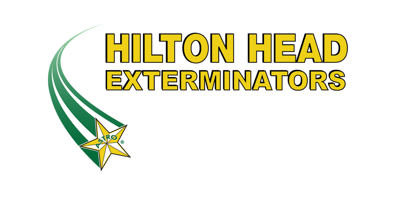 Hilton Head Exterminators